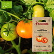 ASSOCIATION KOKOPELLI - Tomate Orange Queen- Graines bio à semer - vignette