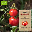 ASSOCIATION KOKOPELLI - Tomate Merveille des Marchés- Graines bio à semer - vignette