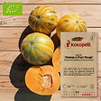 ASSOCIATION KOKOPELLI - Melon Ananas à Chair Rouge- Graines bio à semer - vignette