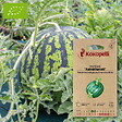 ASSOCIATION KOKOPELLI - Pastèque Astrakhanski- Graines bio à semer - vignette