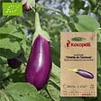 ASSOCIATION KOKOPELLI - Aubergine Violette de Toulouse- Graines bio à semer - vignette