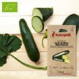 ASSOCIATION KOKOPELLI - Courgette Verte de Milan- Graines bio à semer - vignette