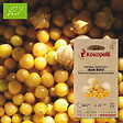 ASSOCIATION KOKOPELLI - Physalis Pubescens Aunt Molly- Graines bio à semer - vignette