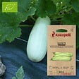 ASSOCIATION KOKOPELLI - Courgette Odessa- Graines bio à semer - vignette