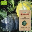 ASSOCIATION KOKOPELLI - Melon Petit Gris de Rennes- Graines bio à semer - vignette