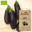 ASSOCIATION KOKOPELLI - Aubergine Diamond- Graines bio à semer - vignette