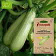 ASSOCIATION KOKOPELLI - Courgette Ortolana Di Faenza- Graines bio à semer - vignette