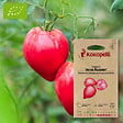 ASSOCIATION KOKOPELLI - Tomate Anna Russian- Graines bio à semer - vignette