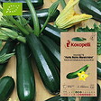 ASSOCIATION KOKOPELLI - Courgette Verte Noire Maraichère- Graines bio à semer - vignette