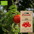 ASSOCIATION KOKOPELLI - Tomate rouge Aurora- Graines bio à semer - vignette