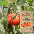 ASSOCIATION KOKOPELLI - Tomate Striped German- Graines bio à semer - vignette