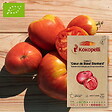 ASSOCIATION KOKOPELLI - Tomate Cœur de Bœuf Slankard- Graines bio à semer - vignette