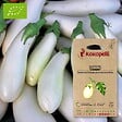 ASSOCIATION KOKOPELLI - Aubergine Casper- Graines bio à semer - vignette