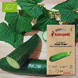 ASSOCIATION KOKOPELLI - Concombre Green Finger- Graines bio à semer - vignette