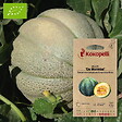 ASSOCIATION KOKOPELLI - Melon De Montréal- Graines bio à semer - vignette