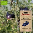 ASSOCIATION KOKOPELLI - Tomate Bosque Blue- Graines bio à semer - vignette