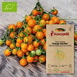 ASSOCIATION KOKOPELLI - Tomate-Cerise Orange Centiflor- Graines bio à semer - vignette