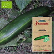 ASSOCIATION KOKOPELLI - Concombre Shintokiwa- Graines bio à semer - vignette