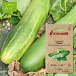 ASSOCIATION KOKOPELLI - Concombre Tanja- Graines bio à semer - vignette