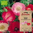 ASSOCIATION KOKOPELLI - Coquelicot Shirley- Graines bio à semer - vignette