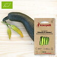 ASSOCIATION KOKOPELLI - Courgette Alberello Di Sarzana- Graines bio à semer - vignette