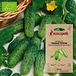 ASSOCIATION KOKOPELLI - Cornichon National Pickling- Graines bio à semer - vignette