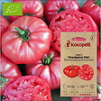 ASSOCIATION KOKOPELLI - Tomate Brandywine Pink- Graines bio à semer - vignette