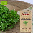 ASSOCIATION KOKOPELLI - Cresson Alénois À Feuilles Simples- Graines bio à semer - vignette