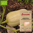 ASSOCIATION KOKOPELLI - Courge Butternut Ponca- Graines bio à semer - vignette