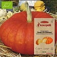 ASSOCIATION KOKOPELLI - Courge Vif d'Étampes- Graines bio à semer - vignette