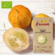 ASSOCIATION KOKOPELLI - Concombre Lemon- Graines bio à semer - vignette