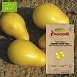 ASSOCIATION KOKOPELLI - Tomate-Cerise Beams Yellow Pear- Graines bio à semer - vignette