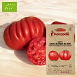 ASSOCIATION KOKOPELLI - Tomate Cœur de Bœuf de Nice- Graines bio à semer - vignette