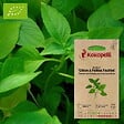 ASSOCIATION KOKOPELLI - Basilic Citron à Petites Feuilles- Graines bio à semer - vignette