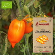 ASSOCIATION KOKOPELLI - Tomate Des Andes Orange- Graines bio à semer - vignette