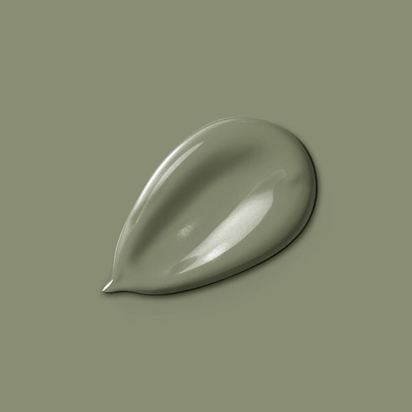 NUANCE - Peinture Monocrème - Vert olive - Mat - 2,5L - large