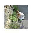 RIBIMEX - Banc agenouilloir de jardinage pliable - vignette