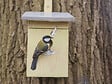 Esschert design - Nichoir pour oiseaux mésange charbonniere avec toit en zinc- Esschert Design - vignette