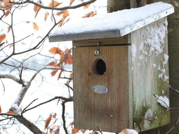 Esschert design - Nichoir pour oiseaux mésange charbonniere avec toit en zinc- Esschert Design - large