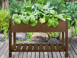 Esschert design - Carré potager en bois marron L - Esschert Design - vignette