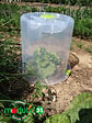MODULO - Cloche Modul'o 35 avec 2 piquets - Diam.35xH.30cm - vignette