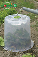 MODULO - Cloche Modul'o 35 avec 2 piquets - Diam.35xH.30cm - vignette