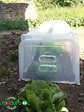 MODULO - Paire d'embouts pour tunnel Modul'o 40 - Transparent - vignette