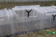 MODULO - Tunnel Modulo 60 avec embouts et piquets - Lot de 3 - vignette