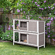 PAWHUT - Clapier à lapin cage à lapin 2 étages trappe de séparation amovible 4 portes verrouillables 2 plateaux coulissants rampe toit ouvrant bois de sapin gris blanc - vignette