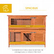 PAWHUT - Cage a lapin poulailler clapier en bois de pin de grande taille avec 2 etages 120x48x100 cm - vignette