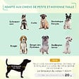 PAWHUT - Lit pour chien chat sur pieds lit de camp lit surélevé rafraîchissant velum anti-UV Oxford micro-perforé parasol et sac de transport inclus dim. 92L x 76l x 90H cm gris noir - vignette