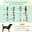 PAWHUT - Lit pour chien chat XXL grand confort sur pied dim. 130L x 90l x 20H cm métal époxy textilène micro-perforé noir - vignette