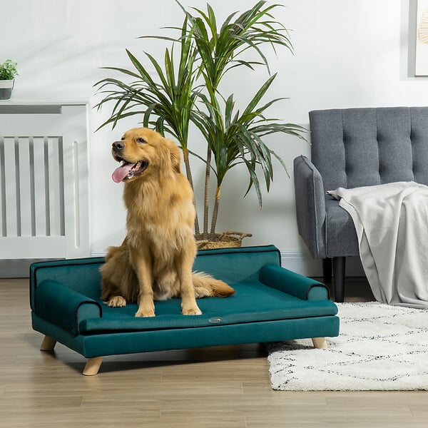 PAWHUT - Canapé chien lit pour chien chat avec accoudoirs dossier coussin déhoussable pieds bois velours bleu canard - large
