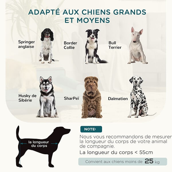 PAWHUT - Canapé chien lit pour chien chat avec accoudoirs dossier coussin déhoussable pieds bois velours bleu canard - large